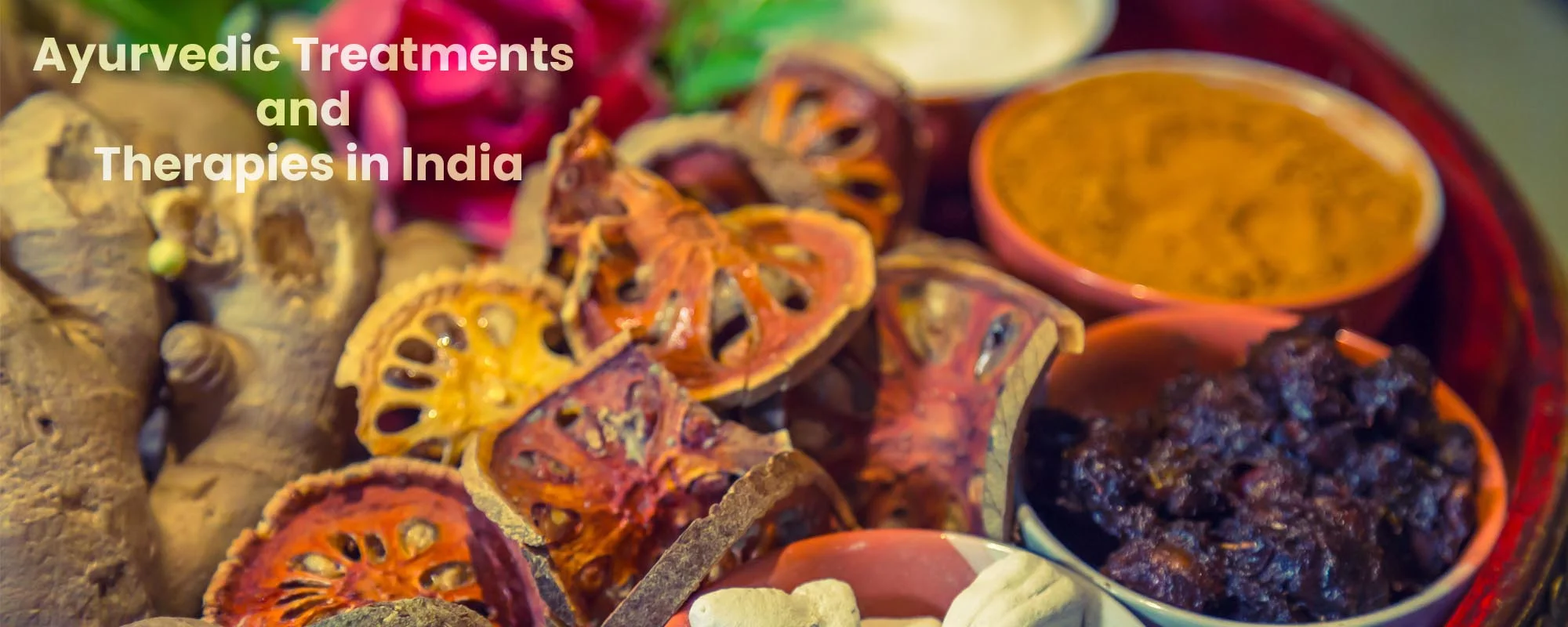 Ayurvedic Treatments and Therapies In India