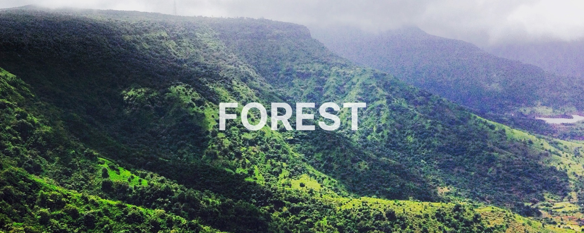 Reserve Forests 